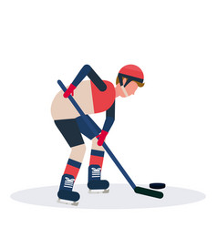 Professional Ice Hockey Player Holding Stick