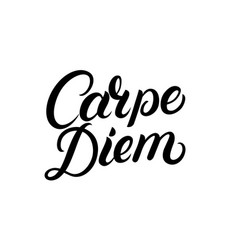 Carpe Diem Hand Written Lettering Quote