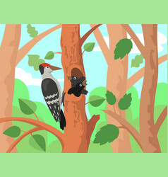 Woodpecker With Chicks In Cartoon