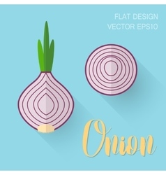 Onion In A Flat Style With An Oblique Bland Shadow