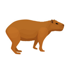 Capybara Iconcartoon Icon Isolated