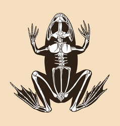 Skeleton Frog