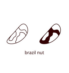 Brazil Nut Icon