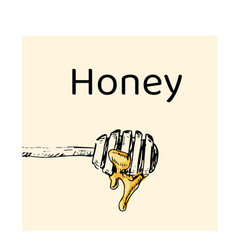 Honey Spoon Hand Drawn Sketch Label In Color