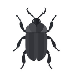 Small Scarab Beetle Silhouette