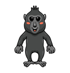 Cute Little Crested Black Macaque Cartoon