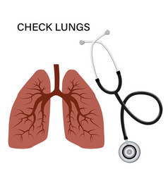 Clean Lungs And Stethoscope In Cartoon Style