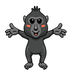 Cute Little Crested Black Macaque Cartoon