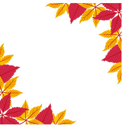 Colorful Leaves Border