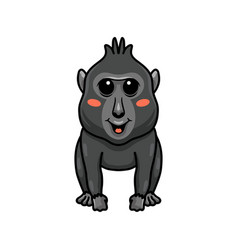 Cute Little Crested Black Macaque Cartoon