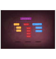 Types Of The Research Methods And Disciplines