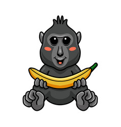 Cute Little Crested Black Macaque Cartoon