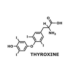 Levothyroxine Hormone Thyroxine Skeletal Formula