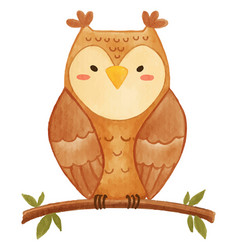 Owl Bird Watercolor Paint Design Cute Animal