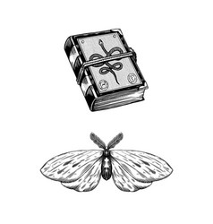 Butterfly Hawk Moth Or Death Book Of Spells