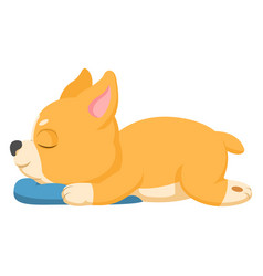 Cute Corgi Dog Sleeping With Pillow