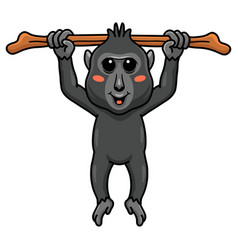 Cute Little Crested Black Macaque Cartoon