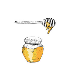 Honey Jar And Spoon Hand Drawn Sketch In Color Set