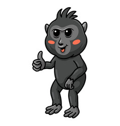 Cute Little Crested Black Macaque Cartoon