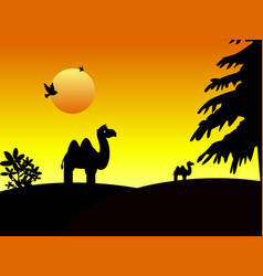 Camel On Desert Silhouette Sunset African Forest