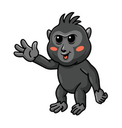 Cute Little Crested Black Macaque Cartoon