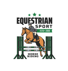 Horse Riding Equestrian Sport And Steeplechase