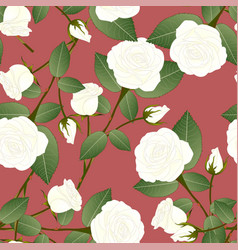 White Rose - Rosa On Red Brown Background