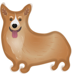 Dog Corgi