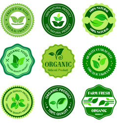 Healthy Food And Organic Or Natural Product