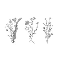 Wildflower Line Art Bouquets Set Isolated