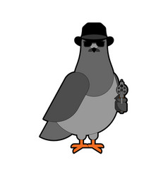 Dove Spy Pigeon Secret Agent City Bird In Hat