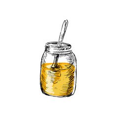 Honey Jar And Spoon Hand Drawn Sketch In Color