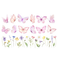 Pink Butterflies Clipart Set Watercolor