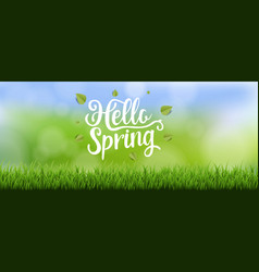 Hello Spring Text Banner With Grass And Bokeh