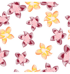 Vintage Plumeria Flower Seamless Pattern Isolated