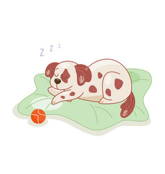 Cute Dog Sleeping