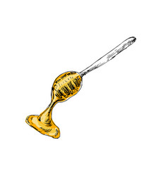 Honey Spoon Hand Drawn Sketch In Color