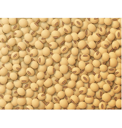 Lot Of Raw Soybeans Top View