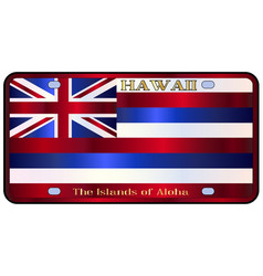 Hawaii State License Plate Flag