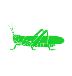 Grasshopper green logo Royalty Free Vector Image