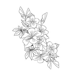 Hibiscus Flower Line Drawing Tattoo Designs