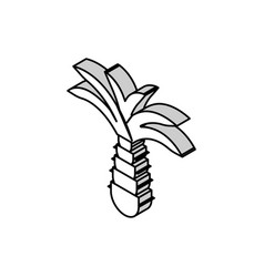 Palm Tree Isometric Icon