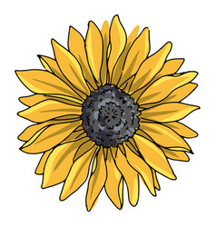 Single Sunflower High Quality