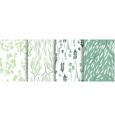 Herbal Eucalyptus Pattern Exotic Foliage Texture