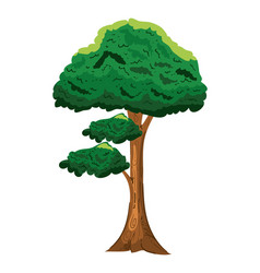 Tree Isolated Icon