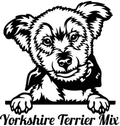 Peeking Yorkshire Terrier Dog - Dog Lover Owner