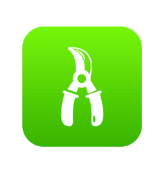 Grape Scissors Icon Green