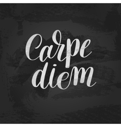 Carpe Diem Hand Written Lettering Positive Quote