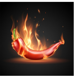 Realistic Hot Red Pepper In Flame