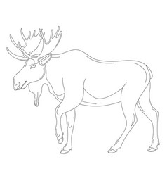 Moose Lining Draw Profile